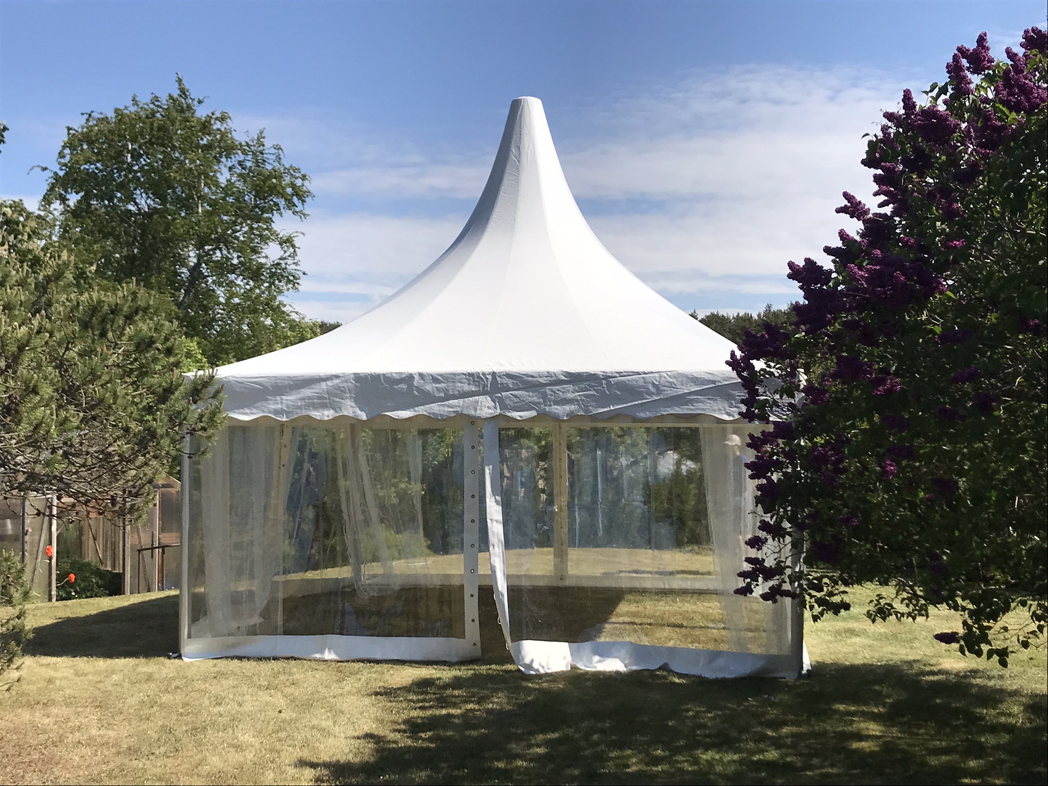 5x5 m tipuga telk, läbipaistvad seinad.JPEG (851 KB)